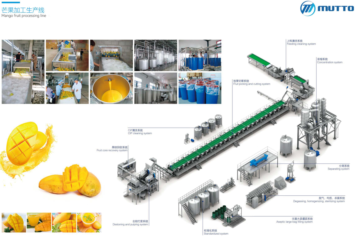 Turn-key Project - Dây Chuyền Sản Xuất Nước Ép Xoài (Mango Juice Processing Line) - Mutto Machinery