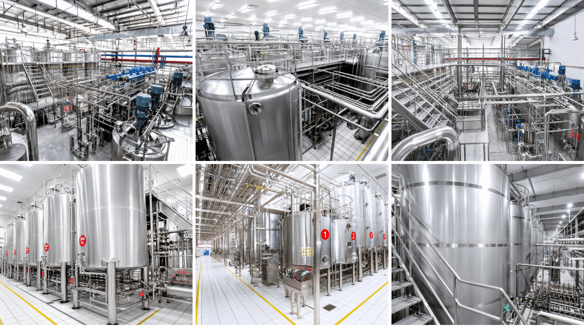 Quy trình chiết xuất dược liệu công nghiệp từ sơ chế đến dịch chiết